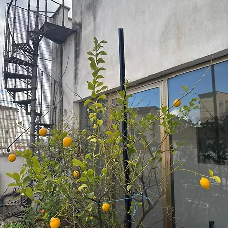 Girasole House Penzion